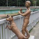 낙동강종주자전거길 이미지