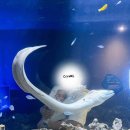 수원-0920 이미지