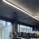 피티데이 이미지