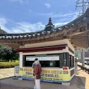운림산방 구름으로 그린 숲 | 진도 여행 가볼만한곳 배롱나무 명소 운림산방