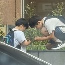 백설사 | [즐거운 세상] 새벽하늘에 별이 줄어들듯