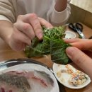 [선릉] 속초오징어어시장 | 봄도다리와 숭어회, 꼬치어묵탕 (가격, 주차, 내돈내산)