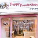 퍼피파우더룸 이미지