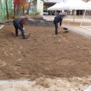 환서초등학교 병설유치원 이미지