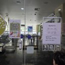 11500-7-55-08 | 리프패럿 파주점 운정앵무새카페 아이와 가기 좋은 힐링체험 후기