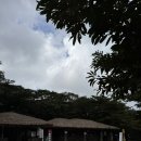 하늘연못 | 제주 돌문화공원 :: 주차, 입장료절약팁, 소요시간, 시설지도, 하늘연못 방문후기