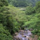 여행영어(야간) 이미지