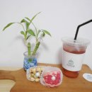 하대동217 이미지