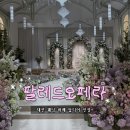 트리아농 - 강남구 학동로59길 43 | 대전 팔레드오페라 웨딩홀 27년 상반기 트리아농홀 후기, 식사·주차까지 솔직 후기💍