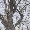 용정2리 경로당 이미지