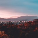 대한카써비스 이미지