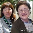 사조미가 이미지