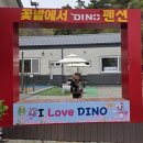 다이노 꽃밭에서 네이버블로그