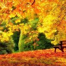 가을색 짙어가는 아름다운 가을 풍경 이미지 이미지