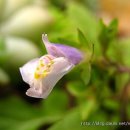 공감퍼스트 이미지