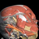 맑은침한의원 이미지