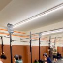 코알라패밀리 이미지