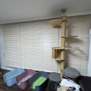 정석그린아파트 이미지