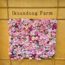 상기목장 이미지