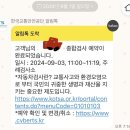 주례자동차검사소 | 초보운전의 인생 첫 한국교통안전공단 주례자동차검사소 후기