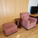 소노캄 델피노C 이미지