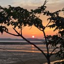 강정태양광발전소 이미지