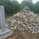 1박2일 위 이미지