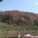 용진산 벌꿀