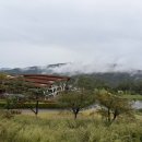 대신펠리체 | [홍천] 소노펠리체 CC 비발디파크 EAST 클럽하우스 포레스타 한식당 방문 후기