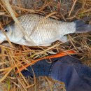 장어여행 이미지