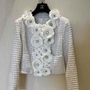 까멜리아 이미지