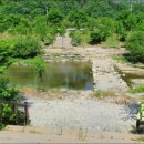 무궁화오토캠핑장 이미지