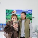 1787 | 의정부포메라니안분양 후기 (1787)