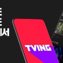 양지엔터테이먼트 이미지