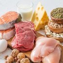 바른생활피트니스 이미지