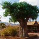 포니랜드 이미지