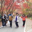 단촌초등학교 네이버블로그