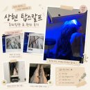 어니스트짐 광교상현점 | 상현역 두피관리 탑스칼프 광교상현점 정밀진단부터 맞춤 관리 후기