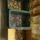 계촌농장 이미지