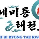 국가대표 연세태권도장 이미지
