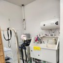 꼬미네 펫샬롱 애견미용 이미지