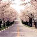 일본어회화(중급) 이미지