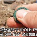 금속탐지기로 조선시대 엽전 발굴 이미지