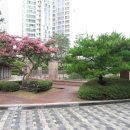 명품공인중개사사무소 이미지