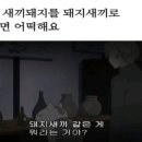 돼지새끼