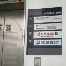 헬로우버디 | [대구/달서구] "헬로우 버디" 달서구 애견유치원 체험 등원 후기