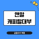 대부 | 앤알캐피탈대부 후기｜승인 소요기간 한도 금리까지 리얼분석