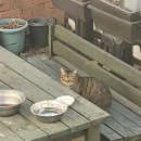 뜨개모임 이미지