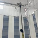 인천사랑요양병원 | 🏥 인천사랑병원 입원 후기: 장염으로 응급실행부터 퇴원까지