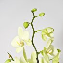 대구광역시 종합복지회관 이미지